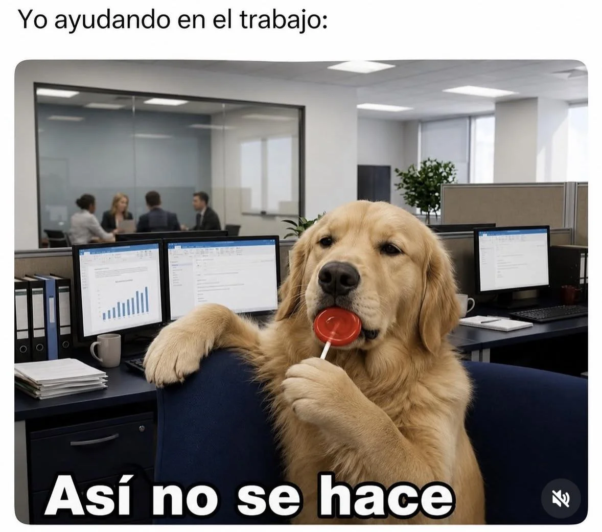 Una gran ayuda del observador 😂😂