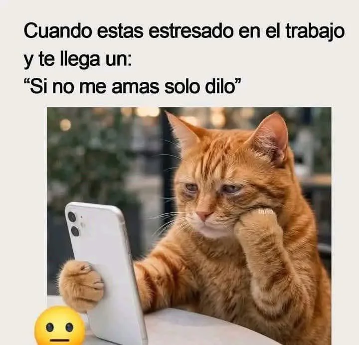 Los memes más graciosos que te harán llorar de risa