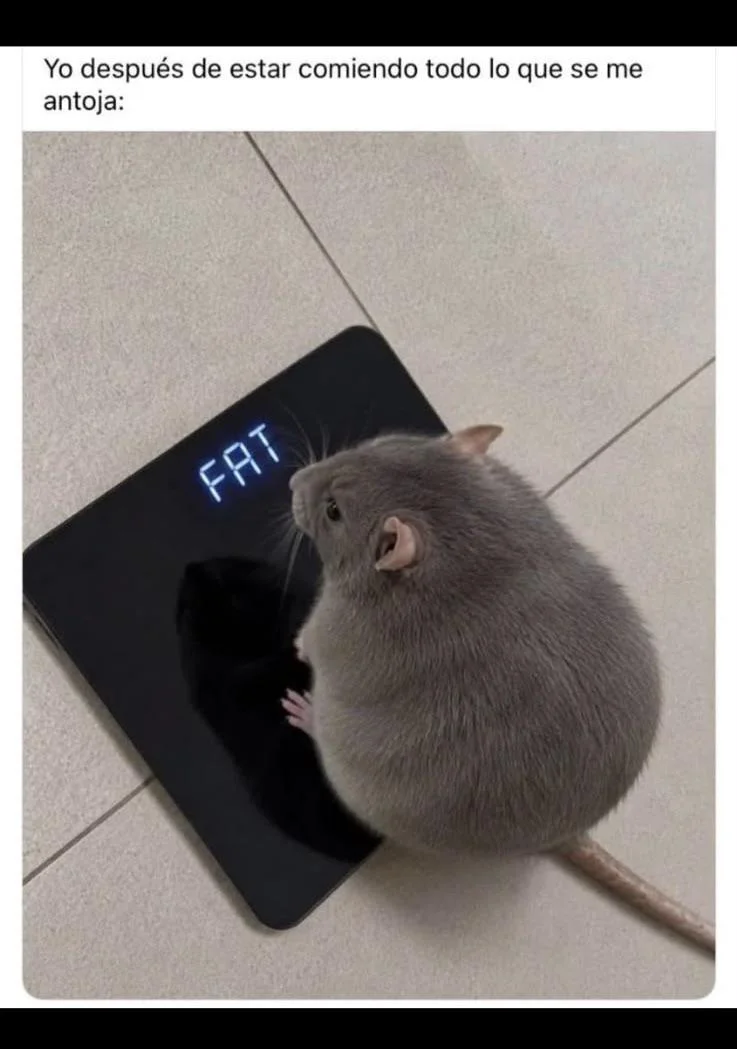 Tiene sentido haha