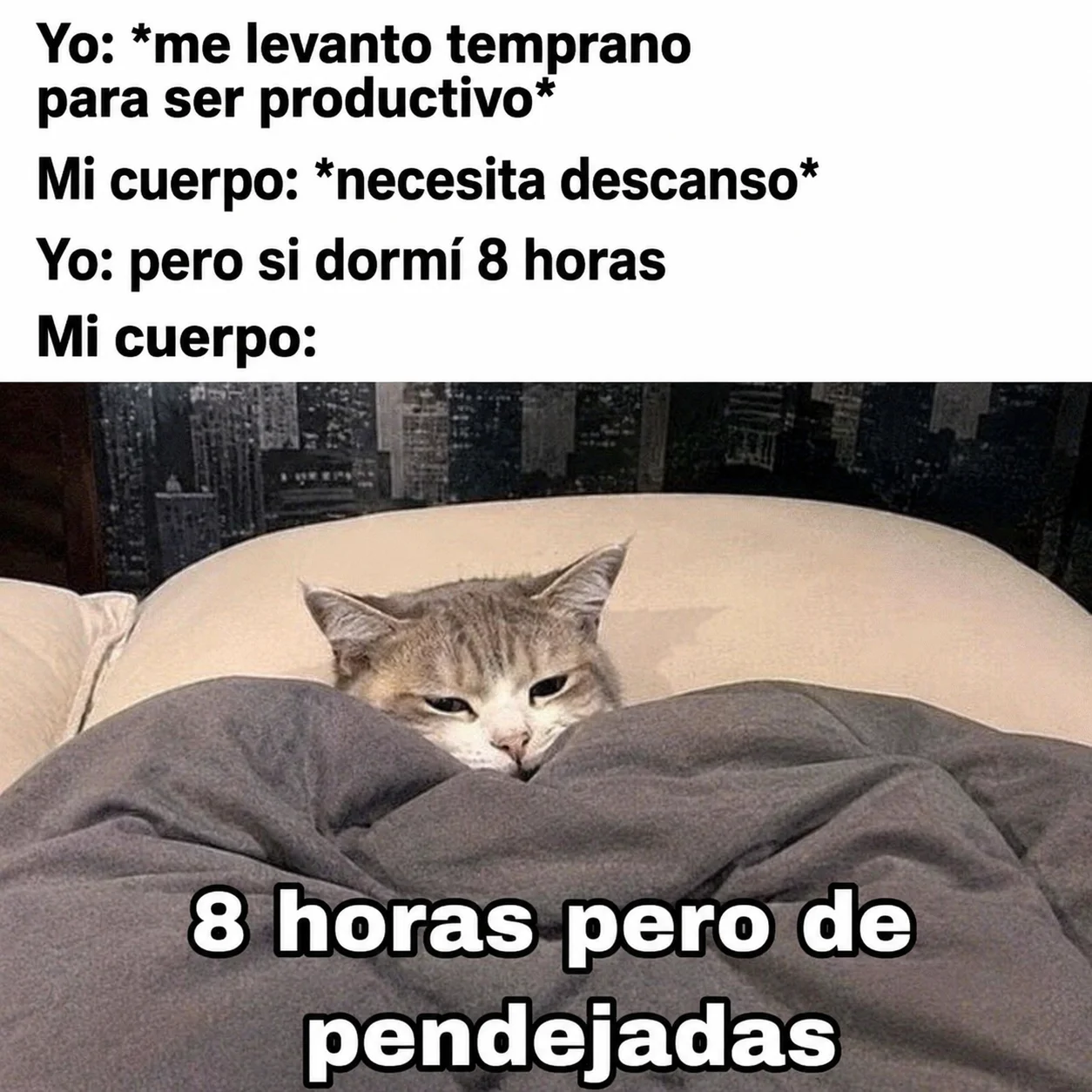 Cuando te ríes mil veces con el mismo meme: ¡Cuantas veces jajaj!
