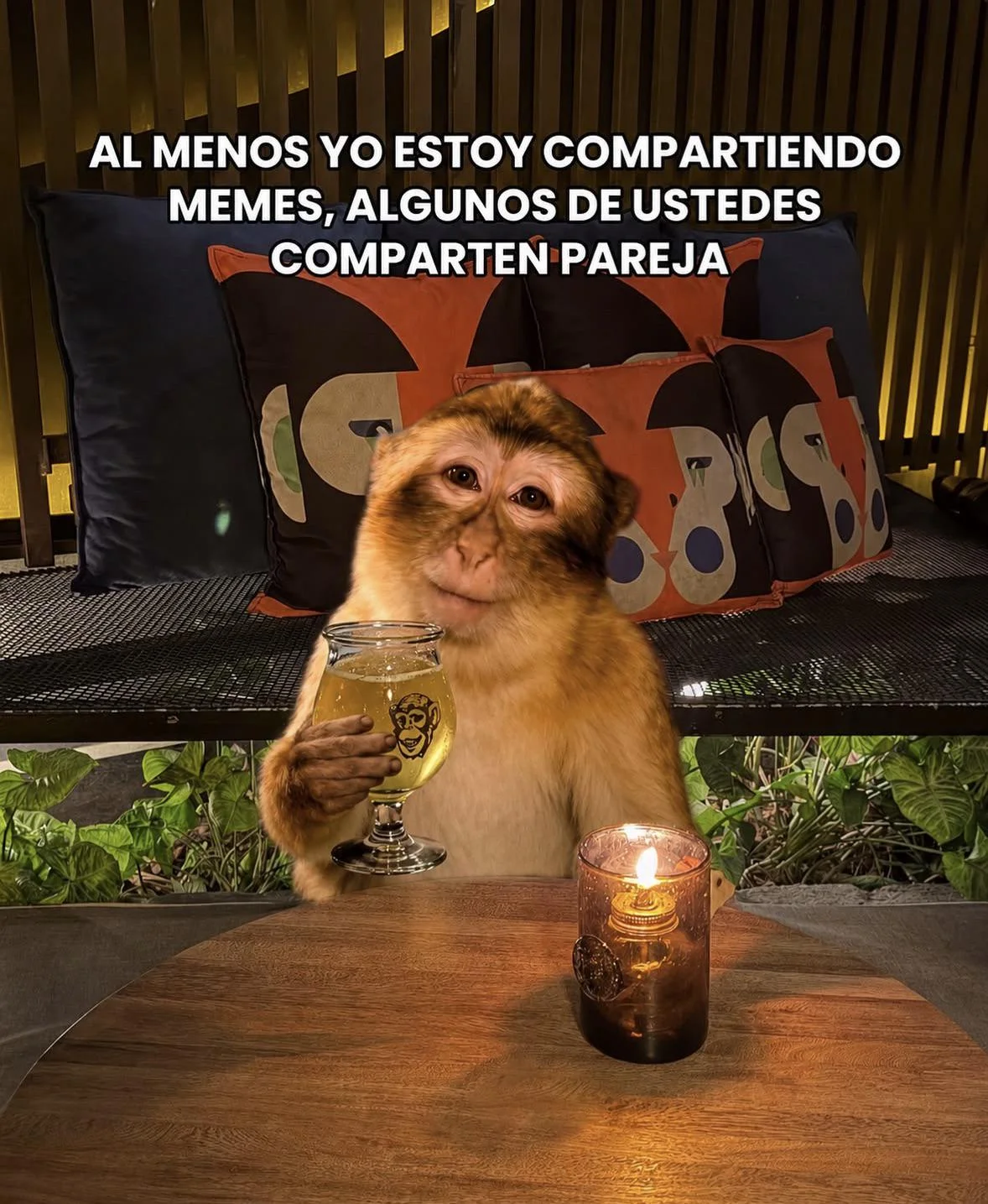 Habemos de todo🤐