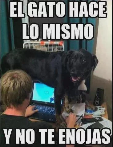 Literal: Memes que describen tu vida en una palabra