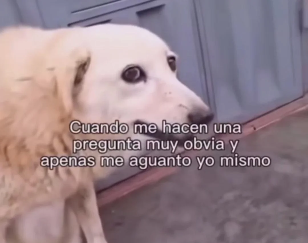 Paciencia infinita: el meme que te hará reír (o llorar)
