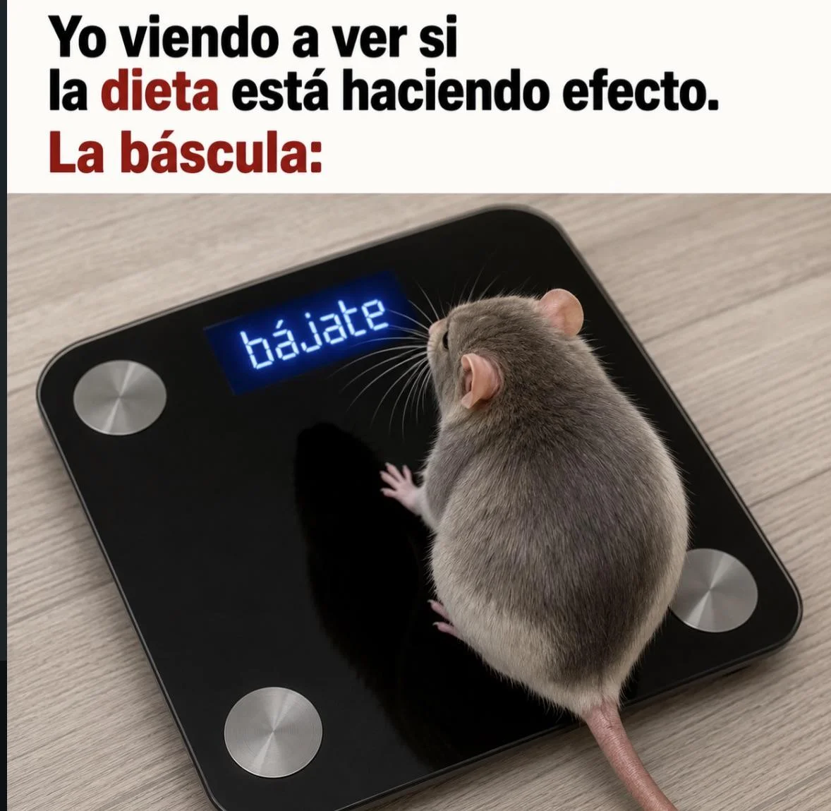 Los memes más graciosos de México y Latinoamérica