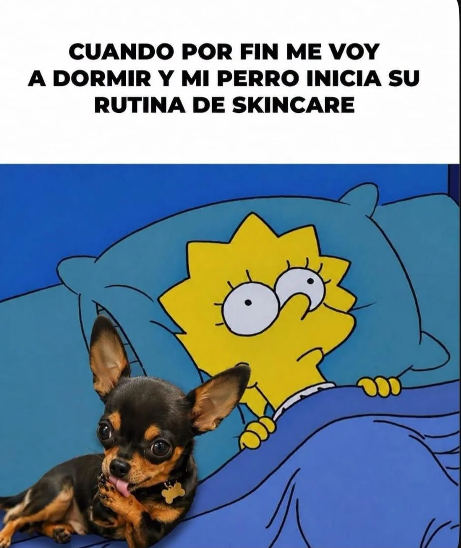 memes sabatinos parte 3 👻