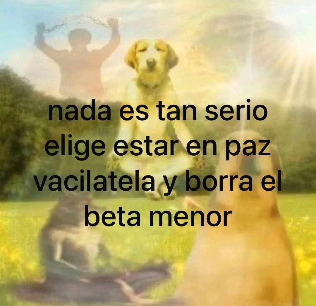 Cuando intentas mantener la calma: ¡Manejen la tranquilidad, pipol!
