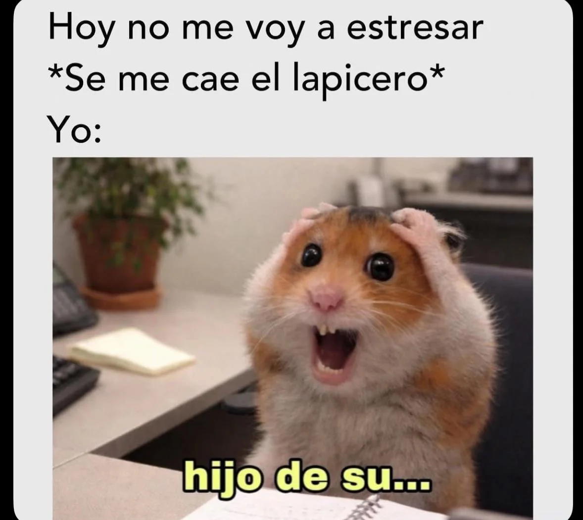 Pasa jajajaj: Los memes más virales que te harán reír sin parar