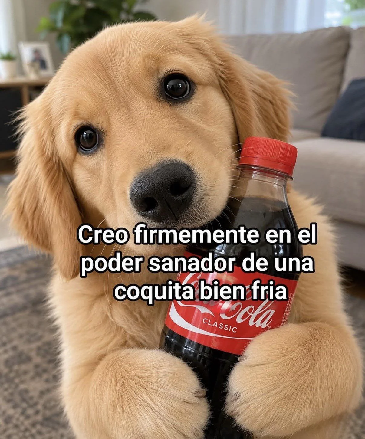 Los memes que nunca morirán: ¡No te acabes nunca!