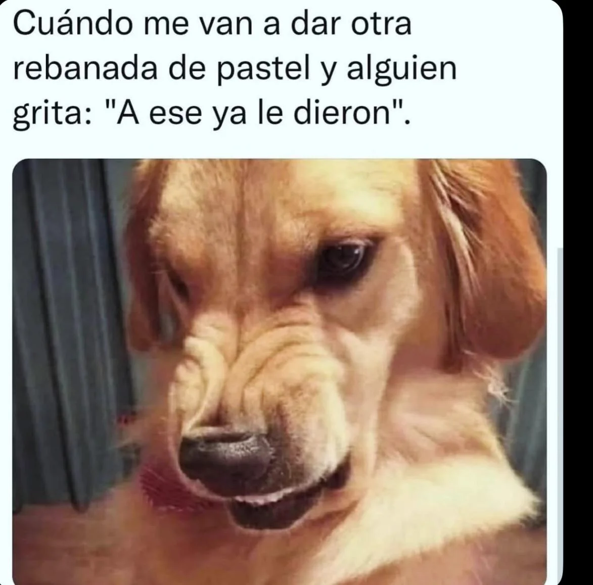 Siempre hay un chisme: Memes que lo confirman