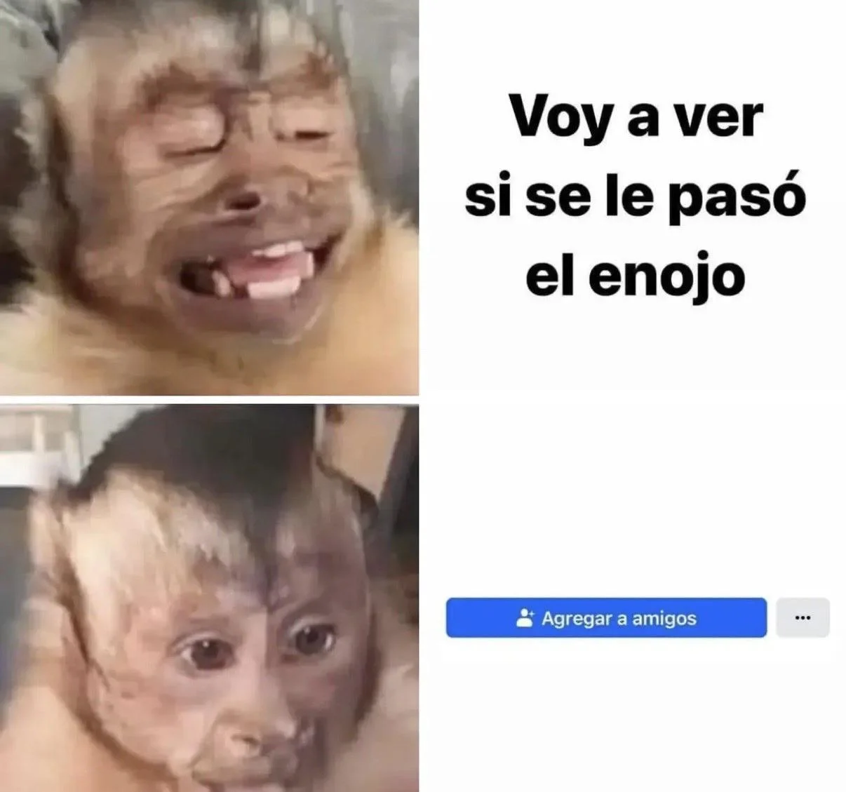 Memes: Es gracioso porque es cierto | Humor latino