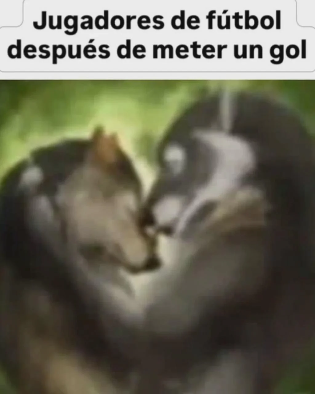 Celebración romantica