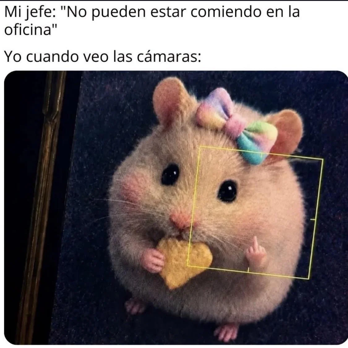 Así mismo jajaja