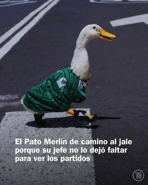 Memes de Merlín