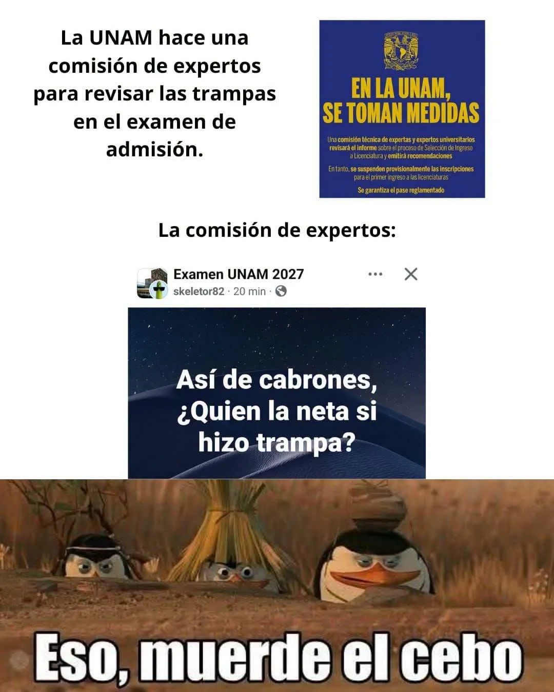 🪤