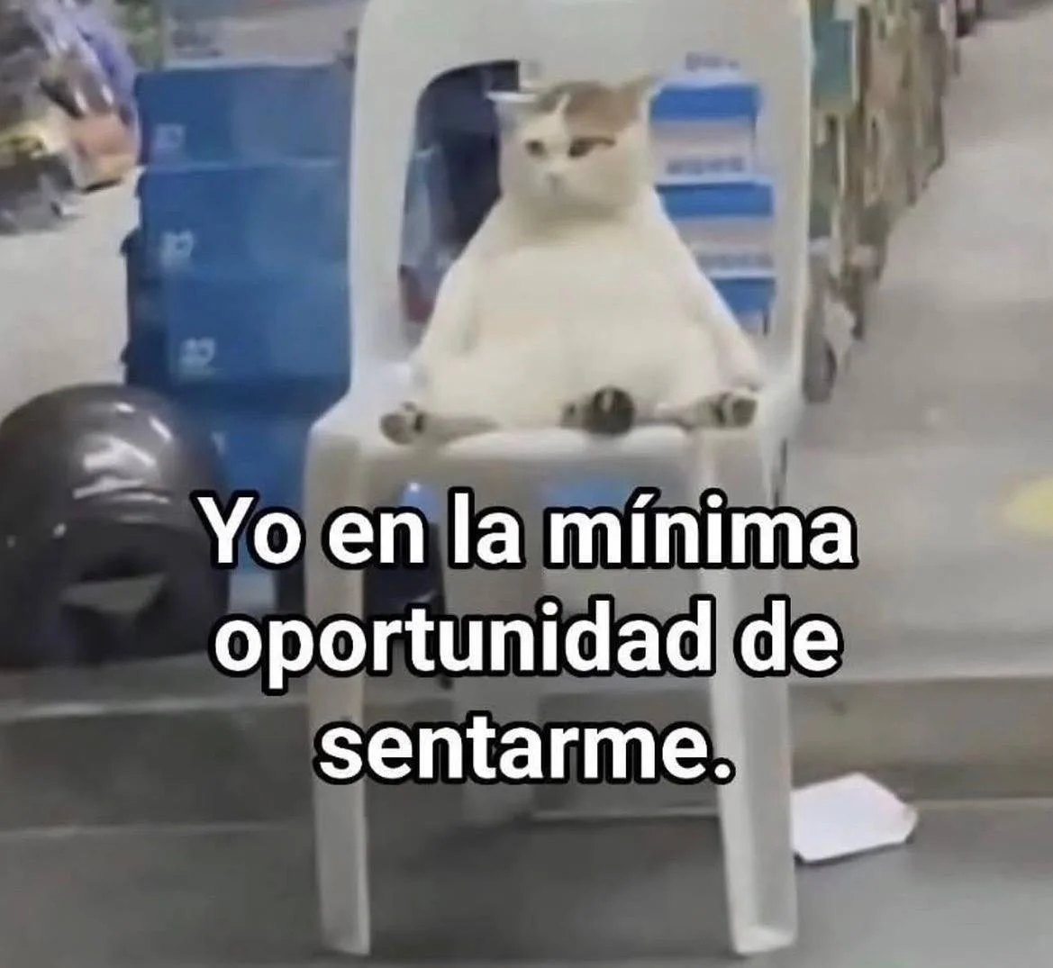 Momardos de miércoles