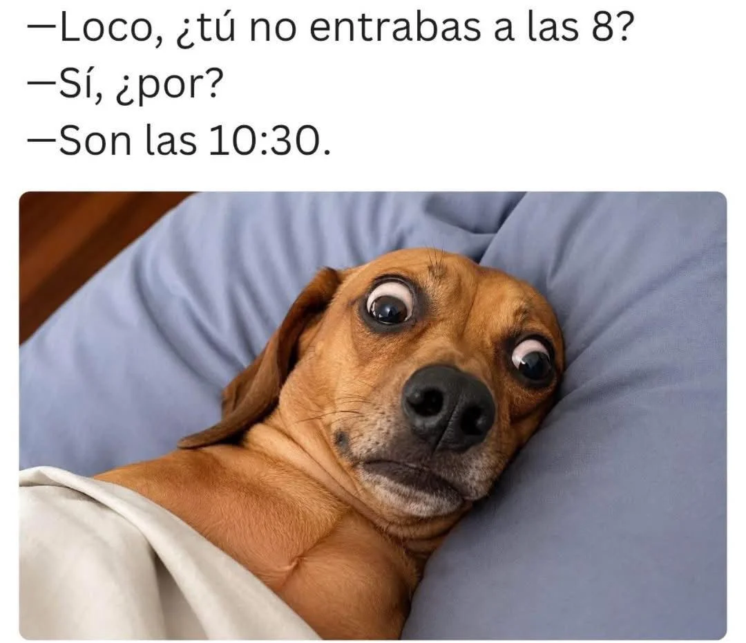 Me paso: Cuando la vida te da limones... ¡haz memes! 🍋😂