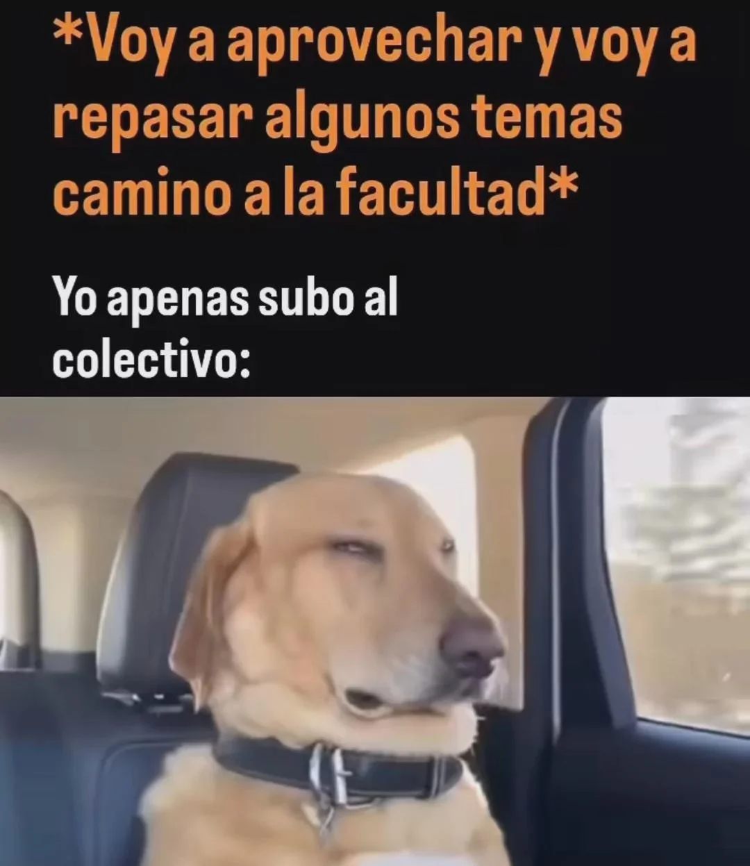 El plan de estudio perfecto para procrastinar con memes