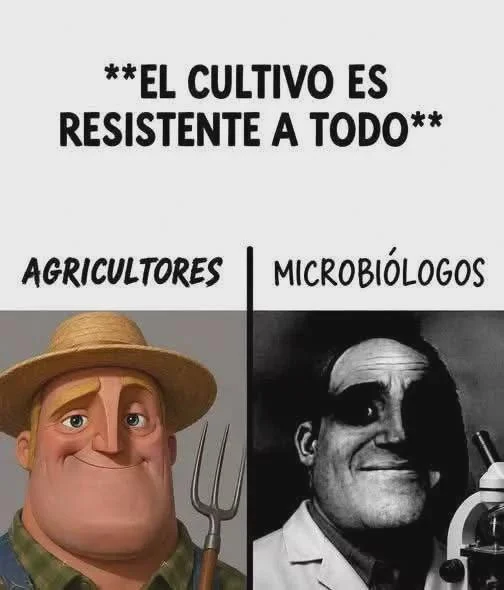 Los mejores memes de la semana: ¡Ríe a carcajadas con lo viral!