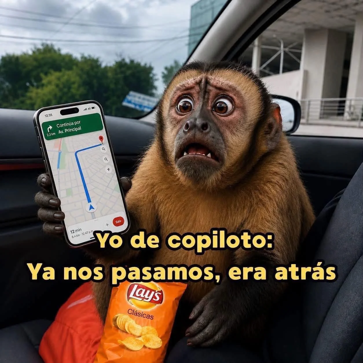 Soy esa: memes que te representan al 100%