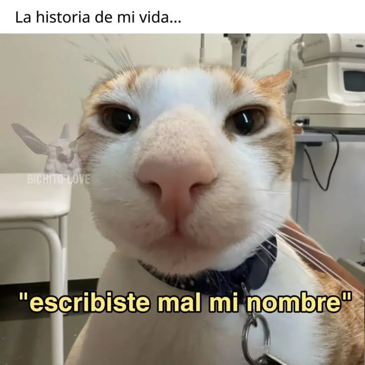 Cuando tu nombre real es un meme: ¡Pura sugerencia!