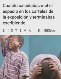 Literal: Cuando un meme lo dice todo sin palabras