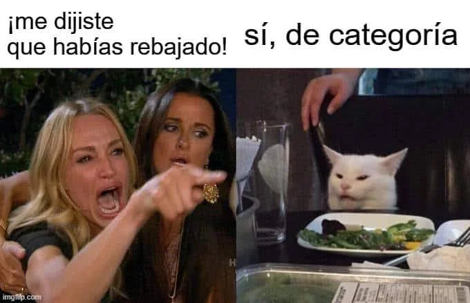Soy el gato jaja