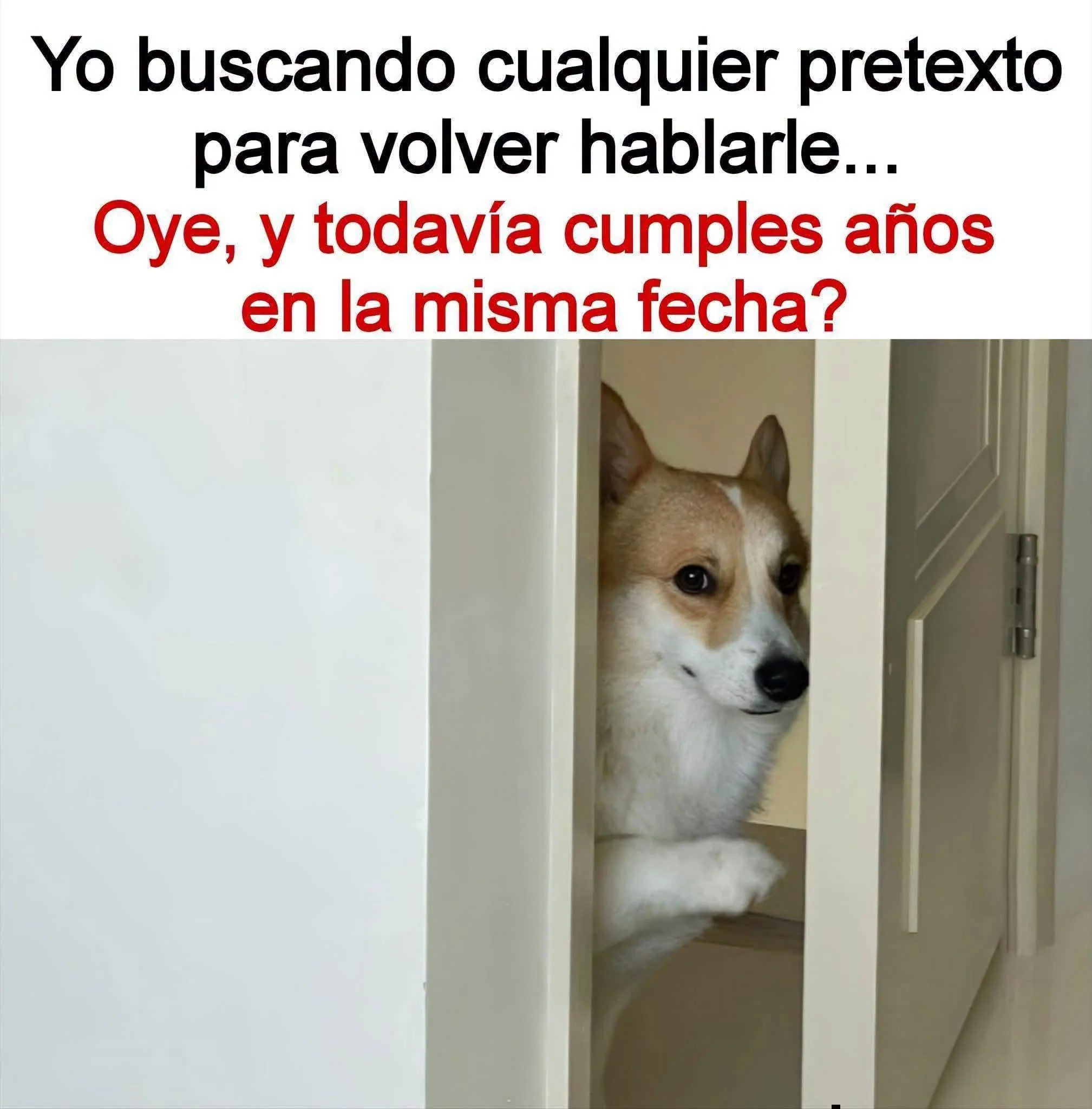 Cuando mi mamá me regaña, pero ya tengo hambre: