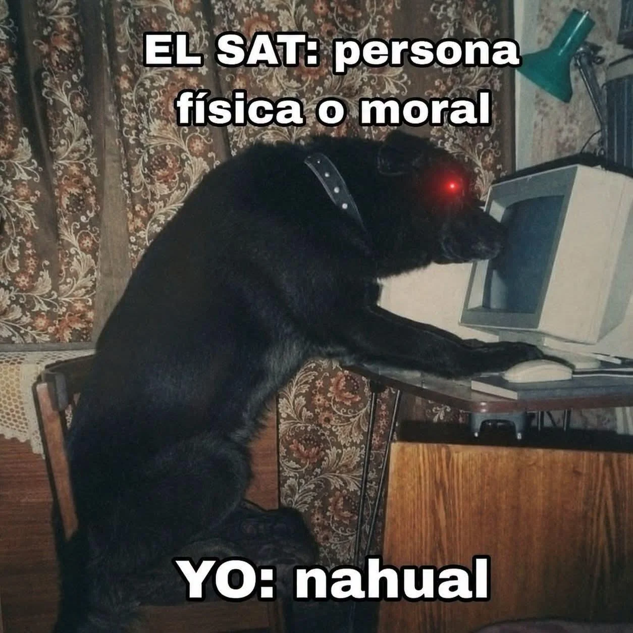 Puro Nahual: Memes que te harán aullar de risa