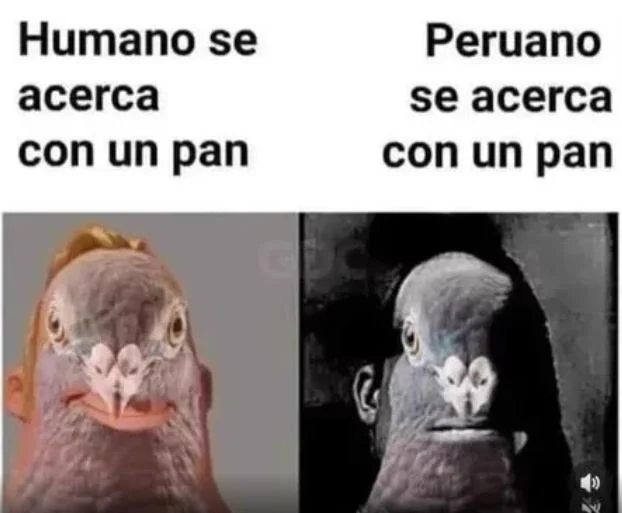 Memes chistosos: Jajaja, ¡esto es muy gracioso!