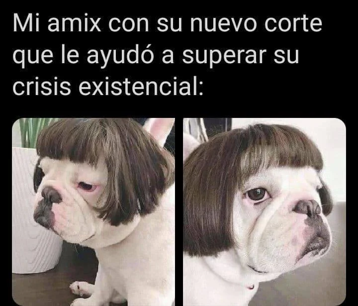 Cuando todas tus amigas son así... ¡meme del día!