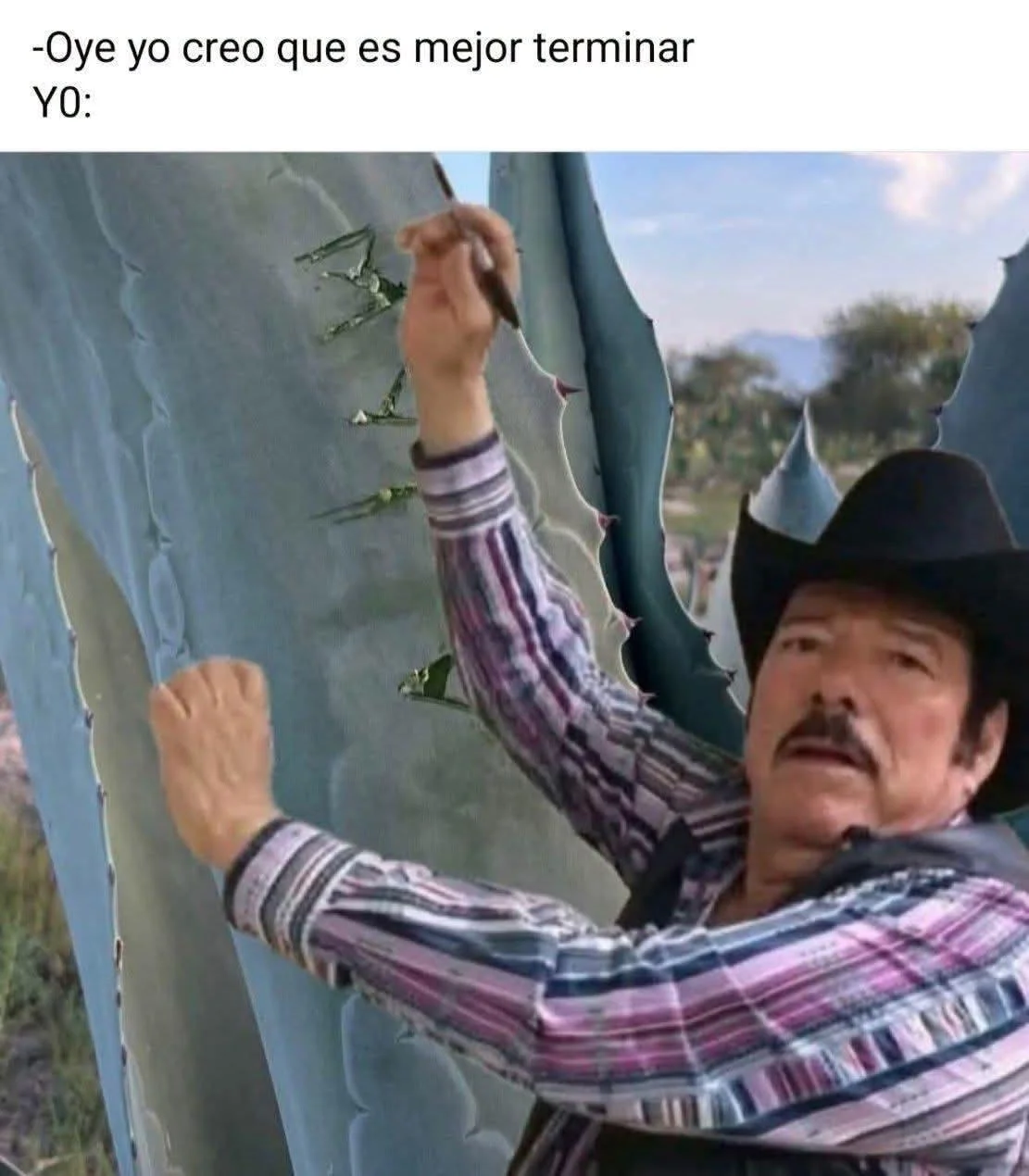 El meme de la letra faltante: ¡Casi lo logro!