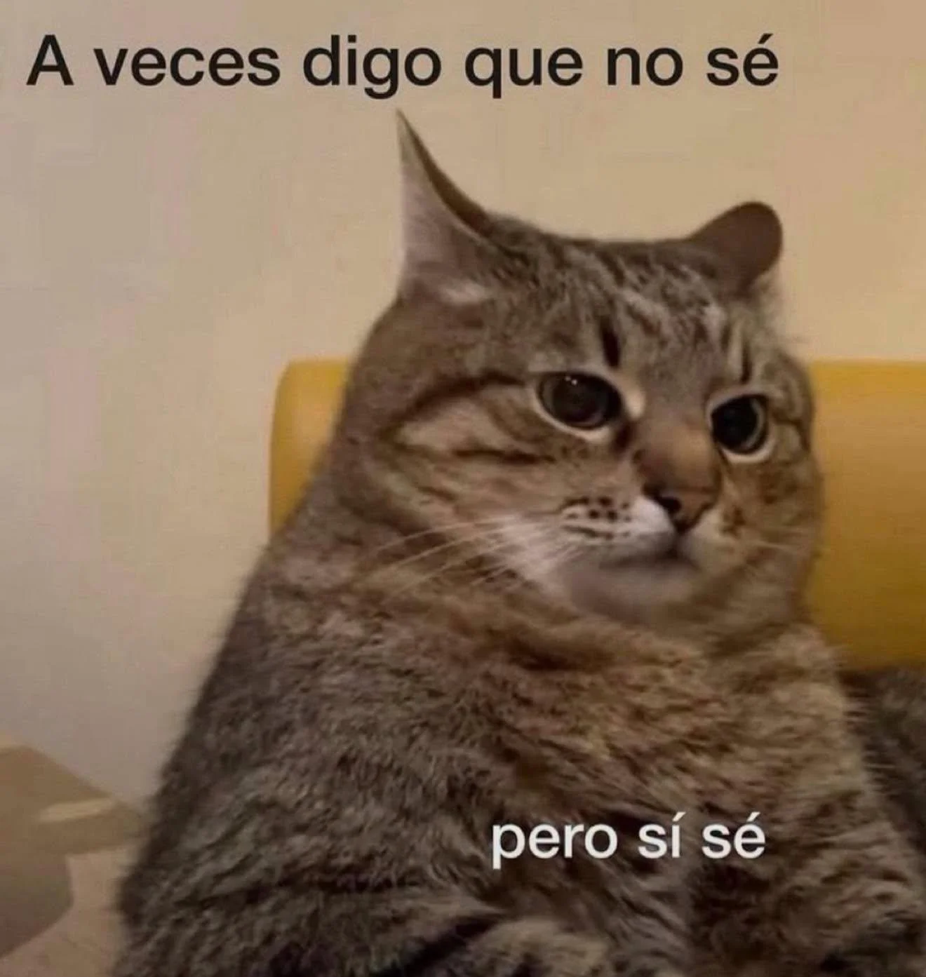 Cuando te haces el turista en tu propia ciudad: ¡Memes que lo entienden!