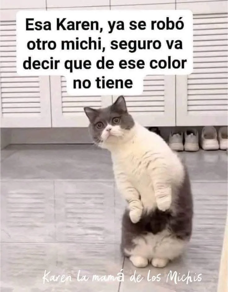 Los adoptamos sin precio aviso
