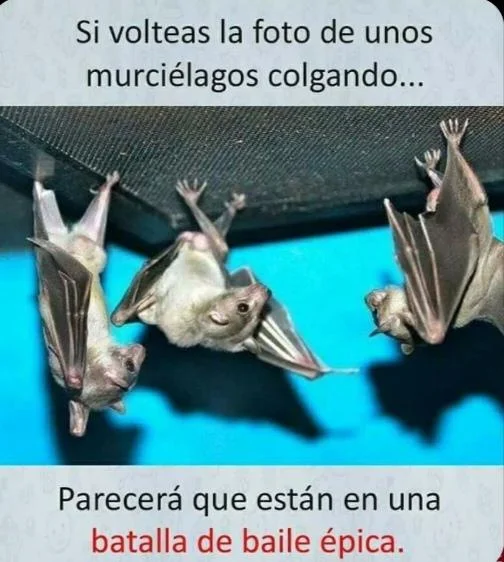 Es cierto