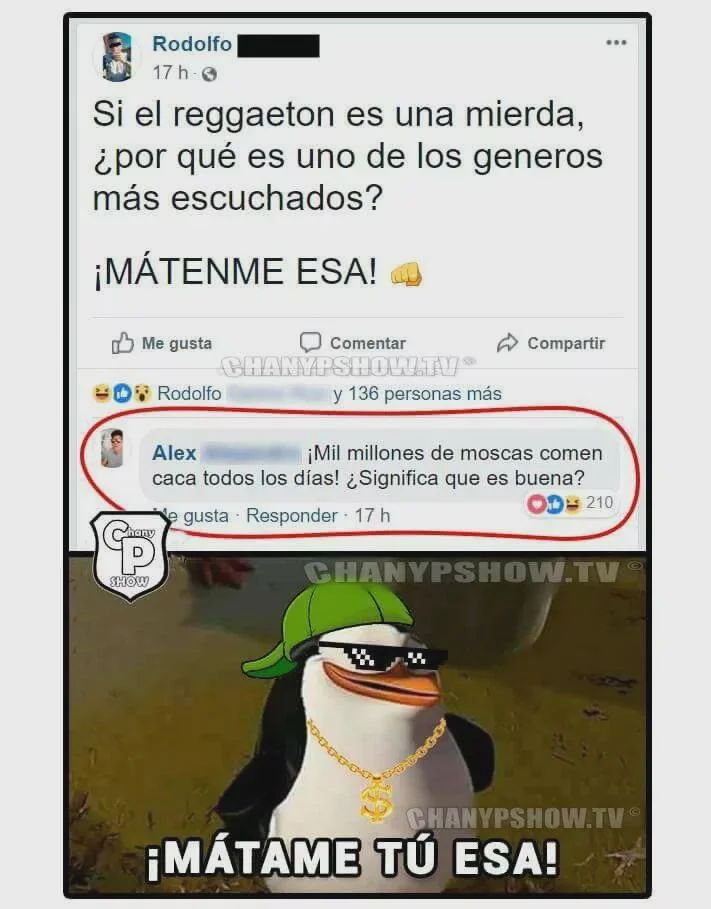 Cuando la razón te golpea: ¡Memes que confirman todo!