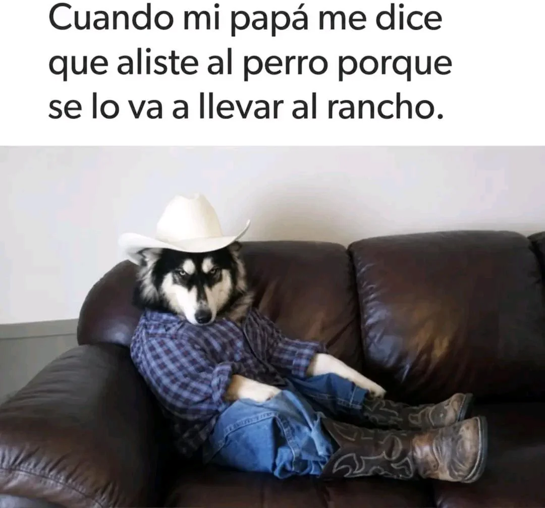Yo en corto: Memes que describen tu vida en una frase