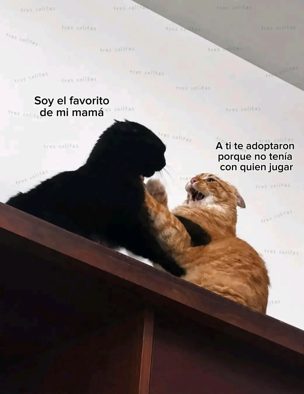 JAJAJAAA Soy team adoptado