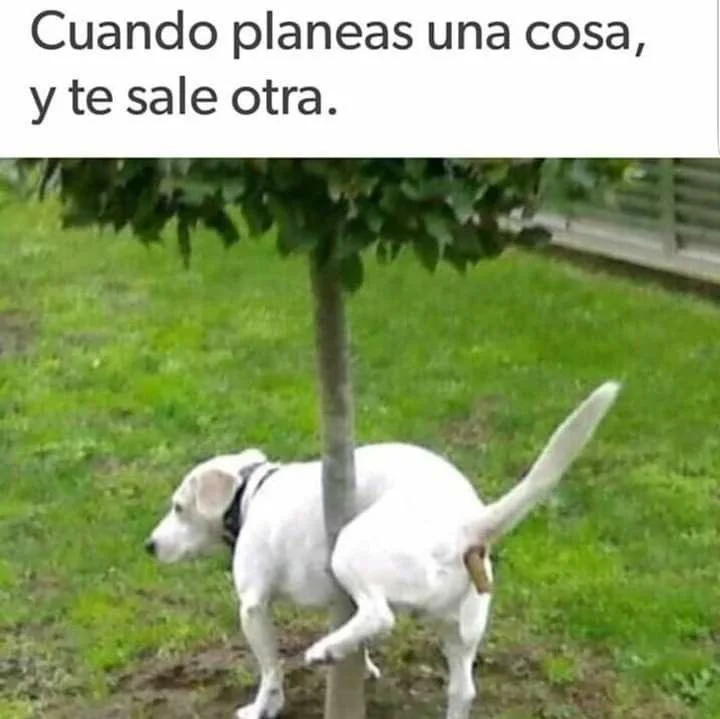Esto se salió de control