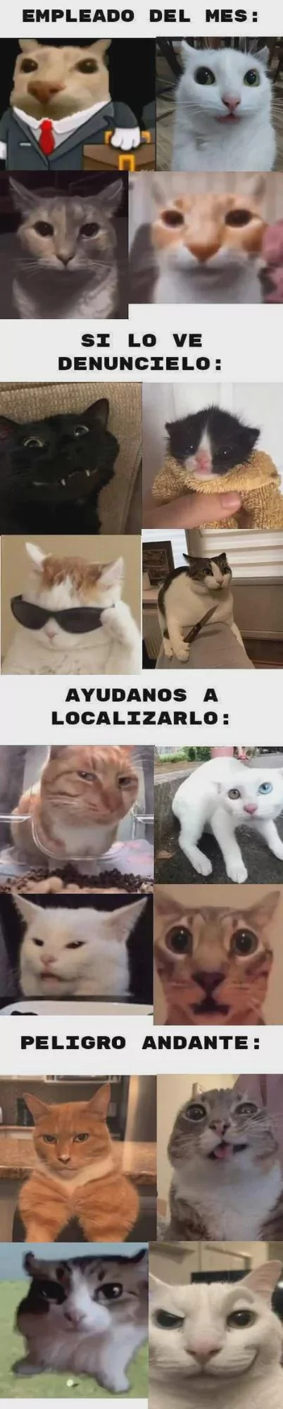 Boletin de la semana