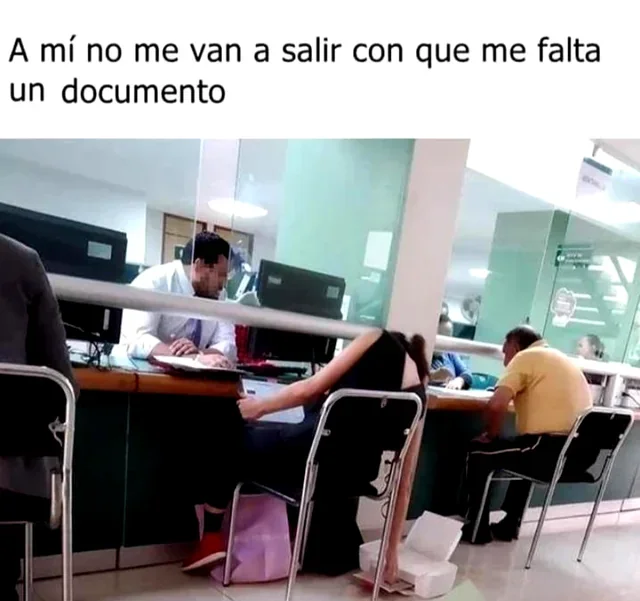 Persona precavida vale por dos: Memes para evitar el oso