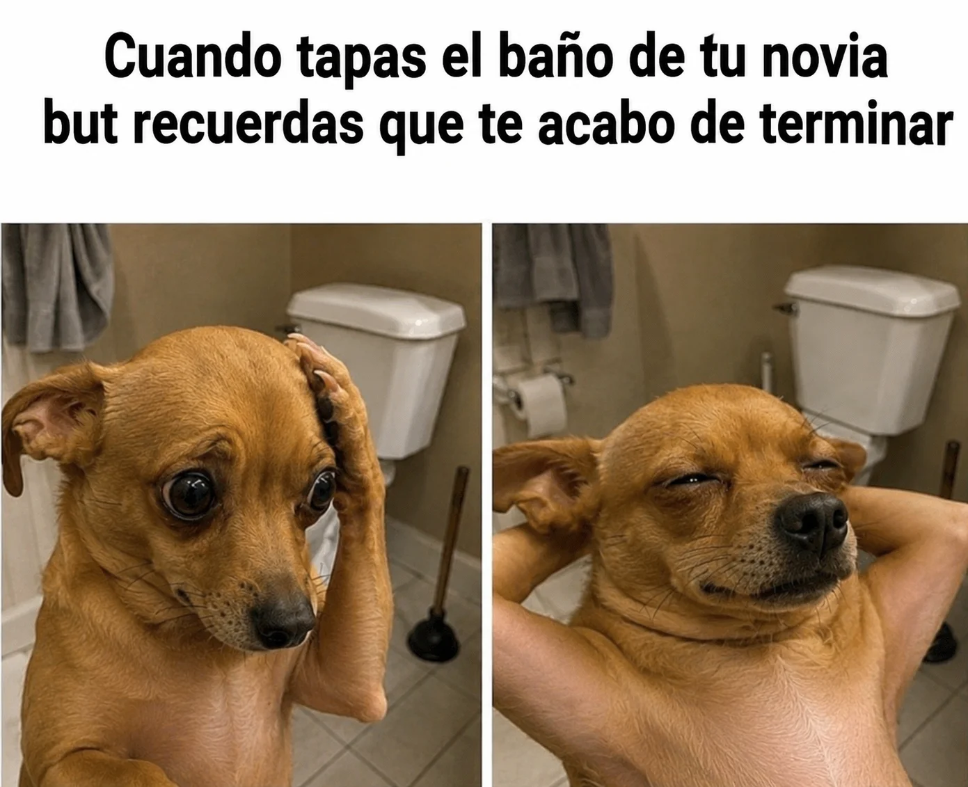 Tapando etapas: Memes de crecimiento y madurez