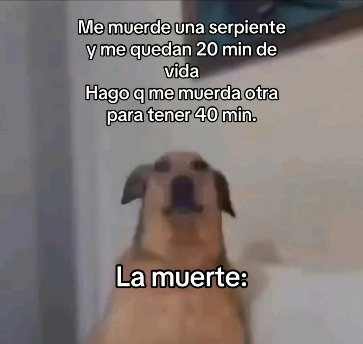 Ok, pero ¿qué significa "ok"? El meme que lo explica todo