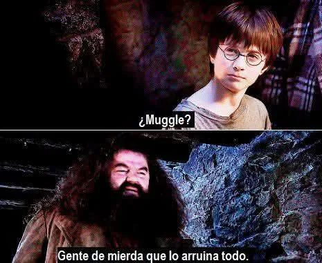 Hagrid 😎