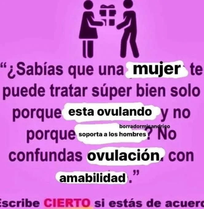 Cierto: Memes que te harán decir 'es verdad'