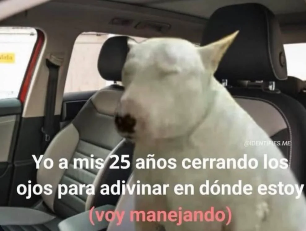 Ay que despistada 🫦