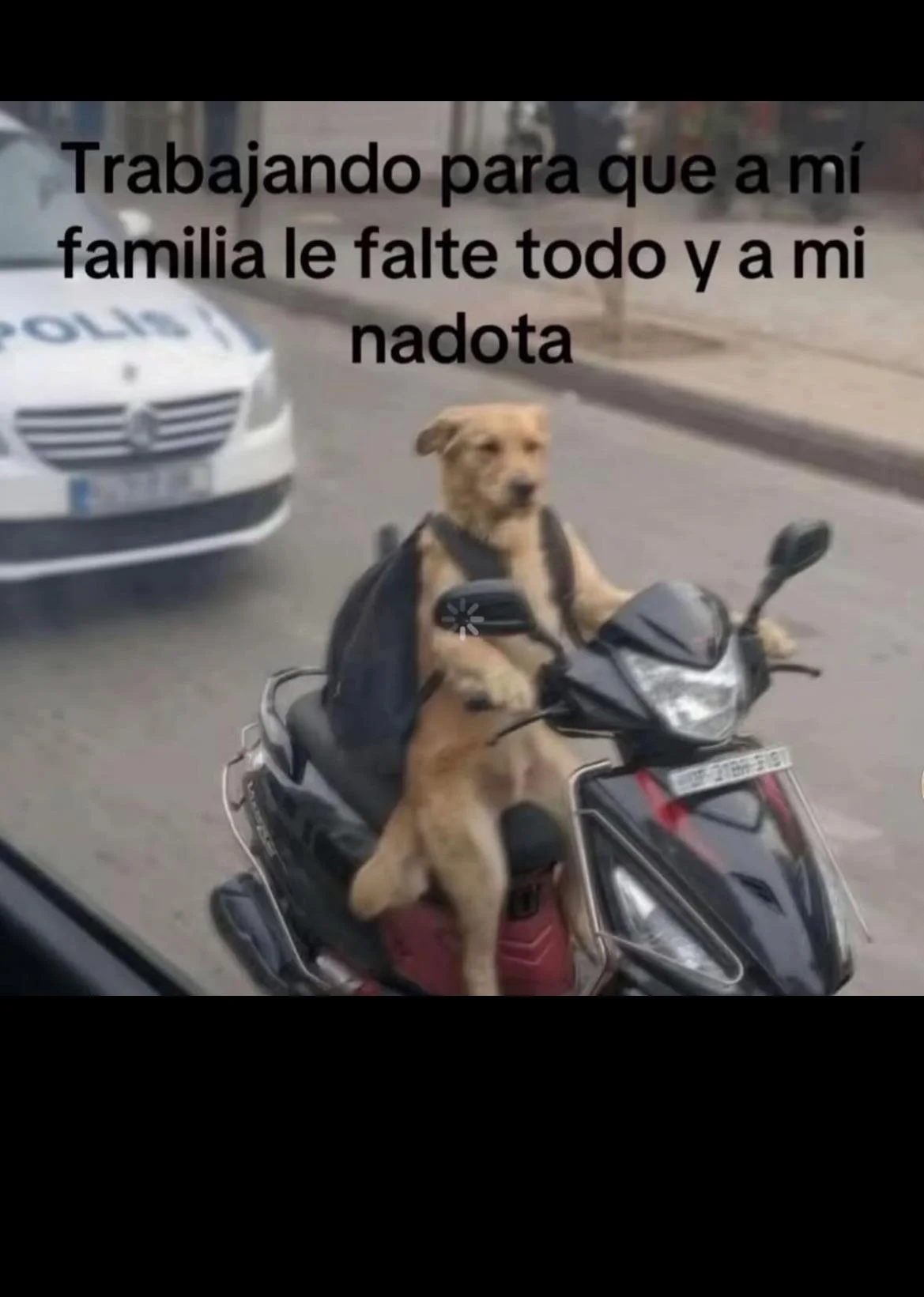 Como debe de ser