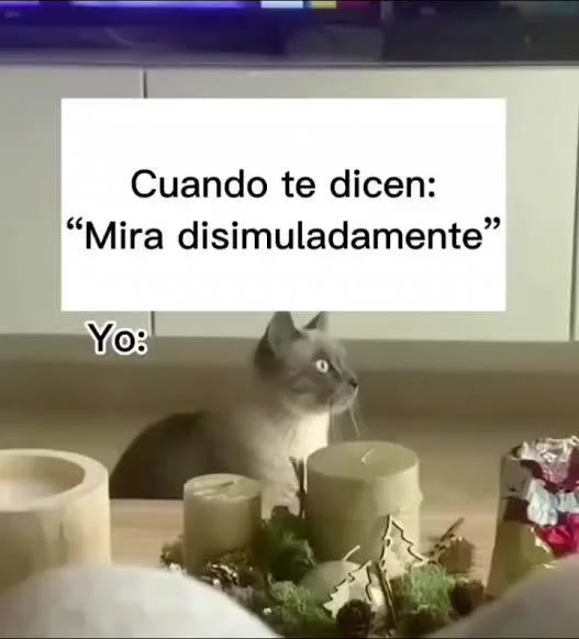 Memes xd: La mejor colección de risas y humor viral