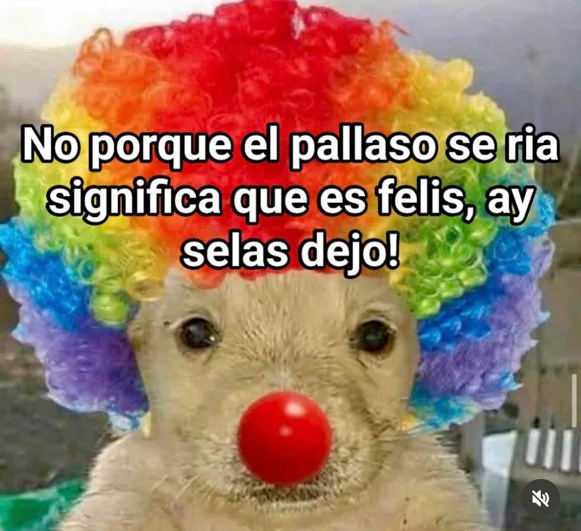 Memes de Hoy: La Mejor Selección para México y Latam (Parte 5)