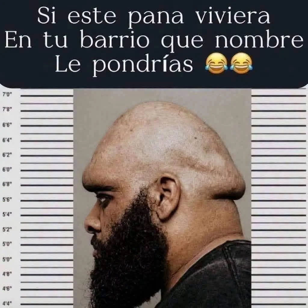 Cual le quedaria bien??