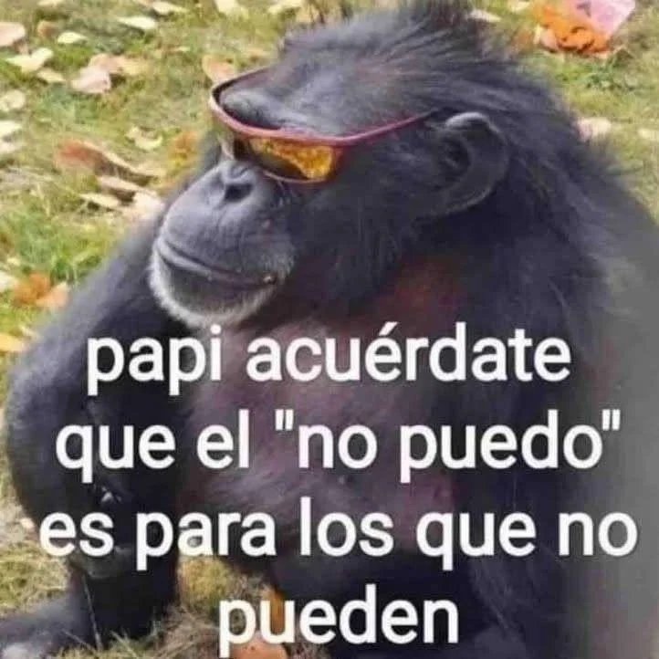 El bro dando ánimos